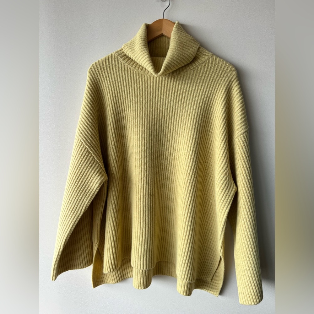 DEMYLEE: Cassidy Wool Turtleneck Sweater